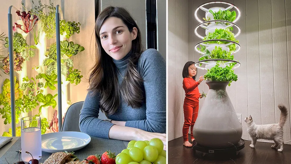 The Best Indoor Gardening Kits for Condo Living