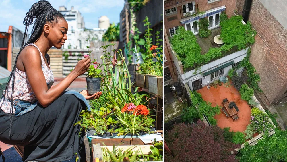 Tips for Thriving Rooftop Gardens