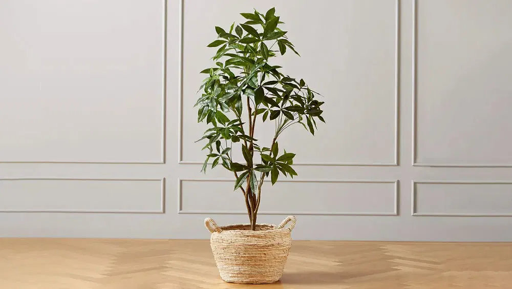 The Benefits of Artificial Plants