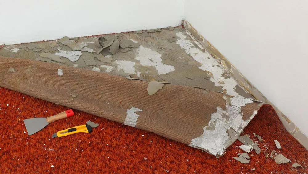 Purchasing Carpet? Avoid These Common Mistakes