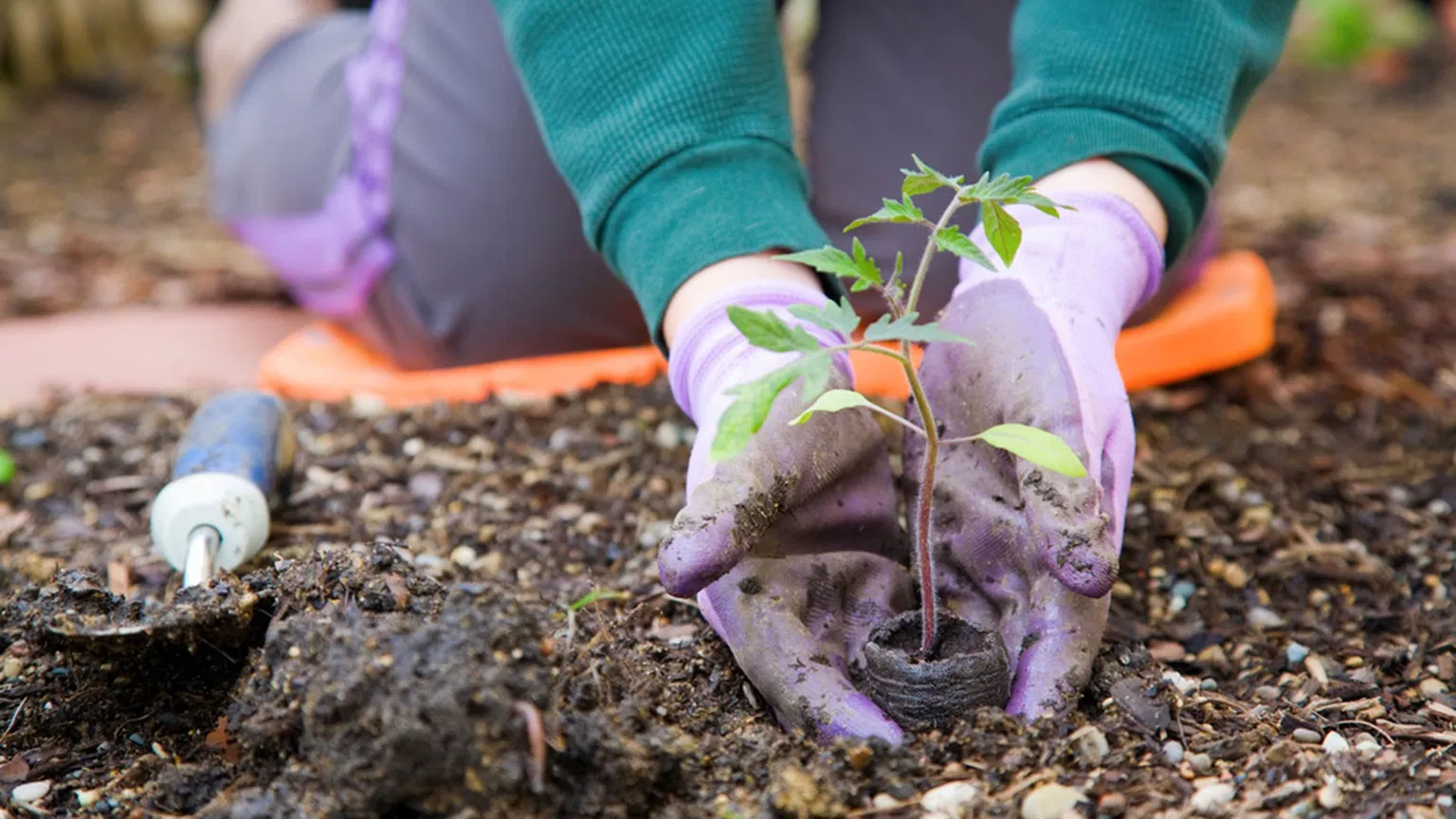 How to Garden in Spring: Your Complete 2025 Checklist for Cincinnati