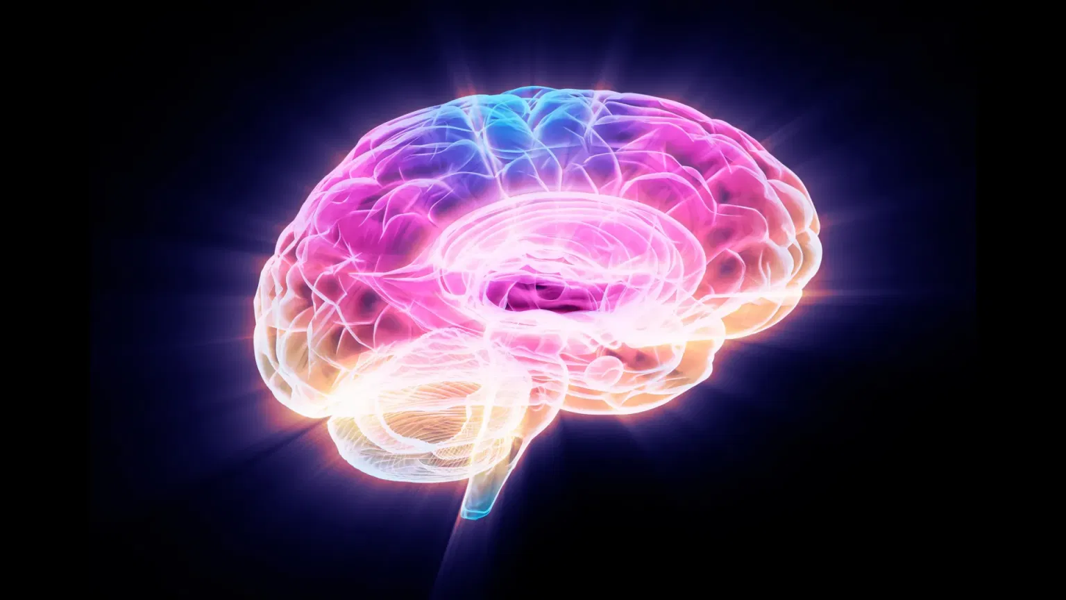 FTL1 Protein and Brain Aging: What Foods Help Manage This Key Protein?