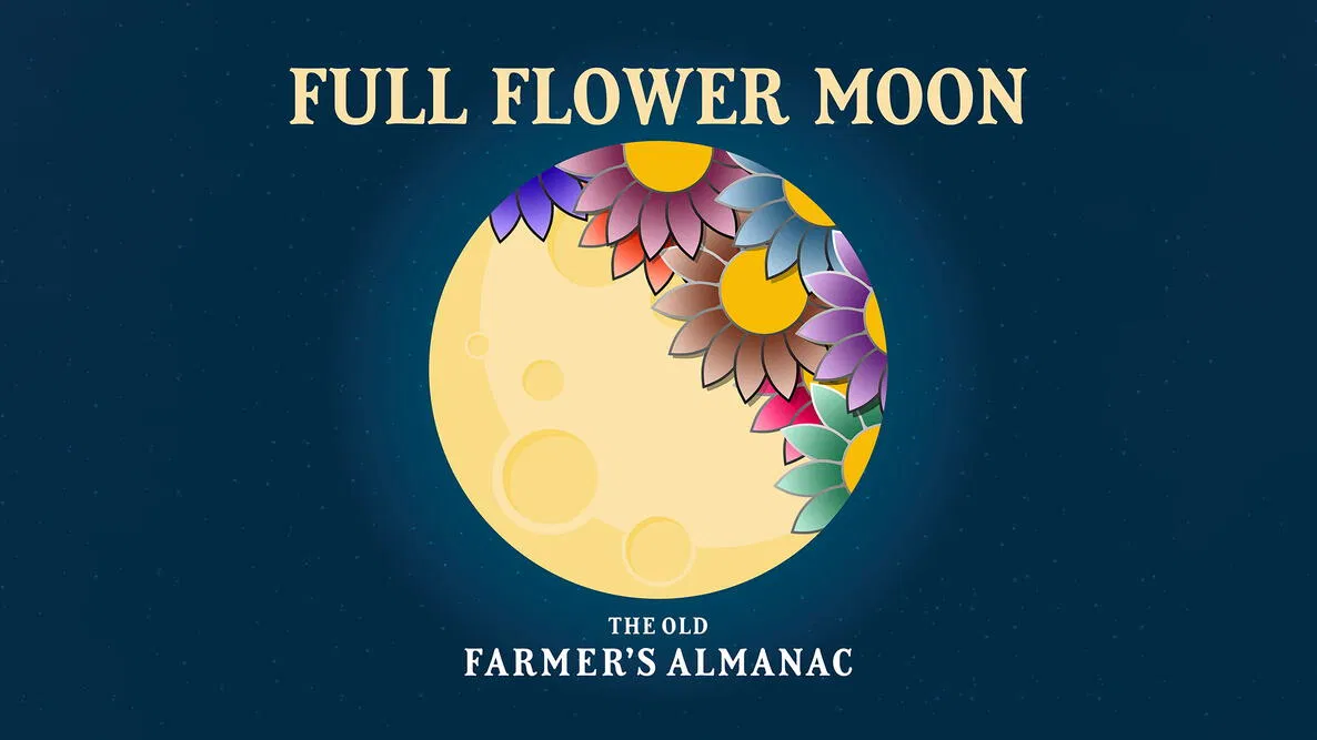 What Is a Full Moon? Understanding Moon Phases & the Flower Moon Explained