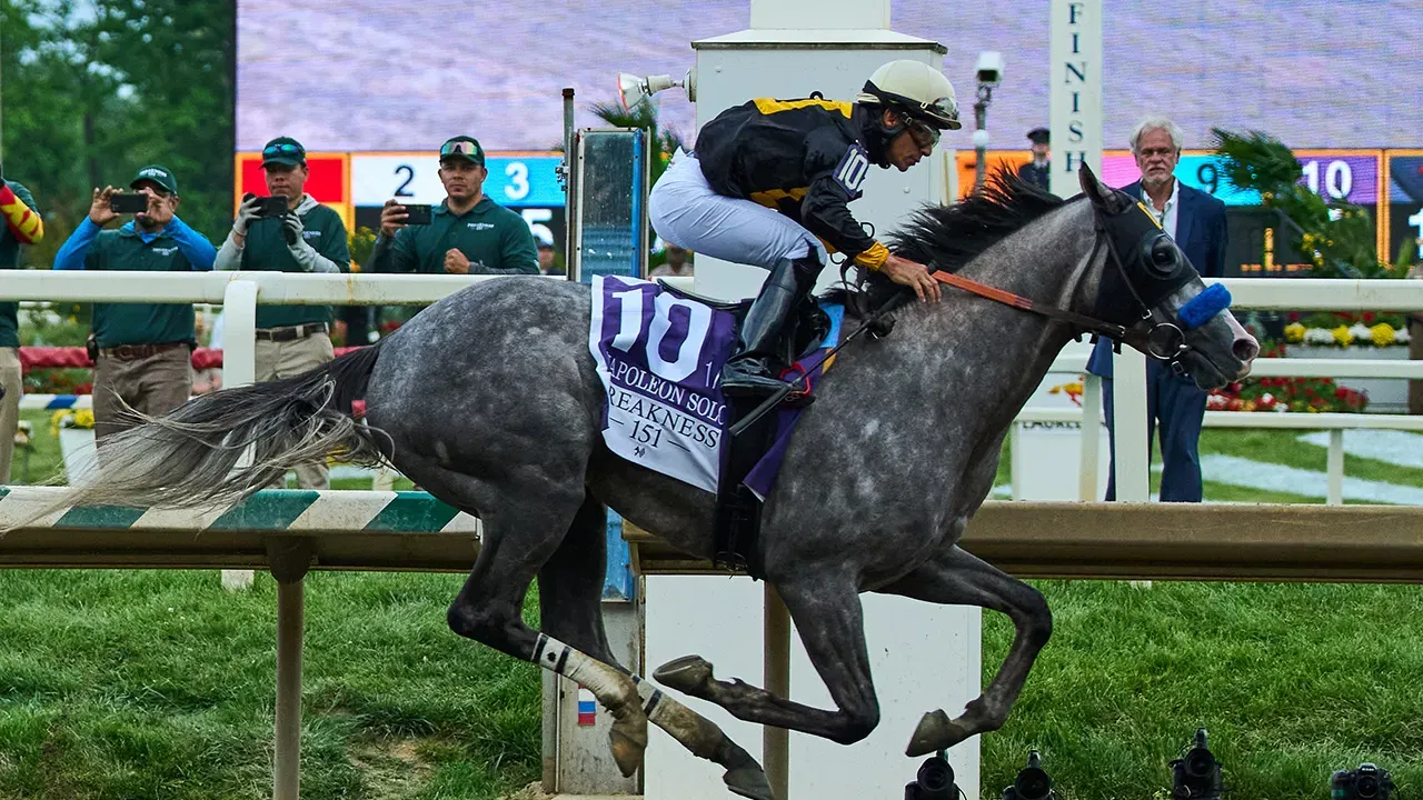 What Is the Preakness Stakes? History, Traditions and 2026 Race Explained