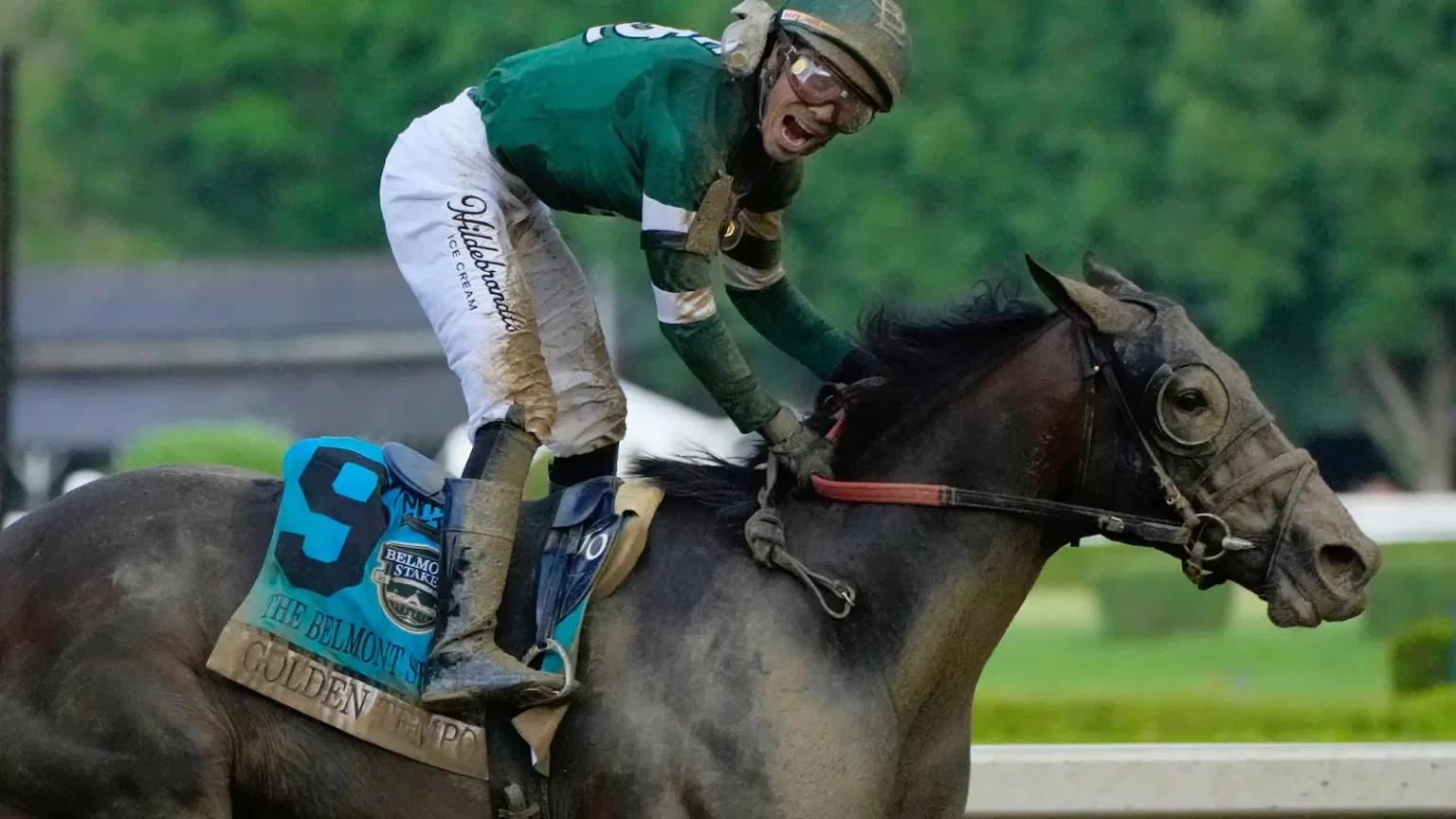 What Is the Belmont Stakes? History, Distance, and 2026 Winner Explained
