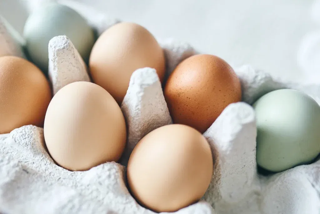 FDA Class I Egg Recall: 19M Eggs Pulled — What to Know