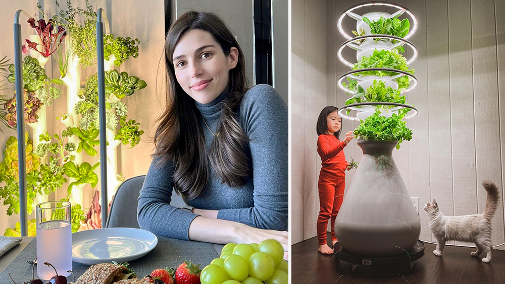 The Best Indoor Gardening Kits for Condo Living