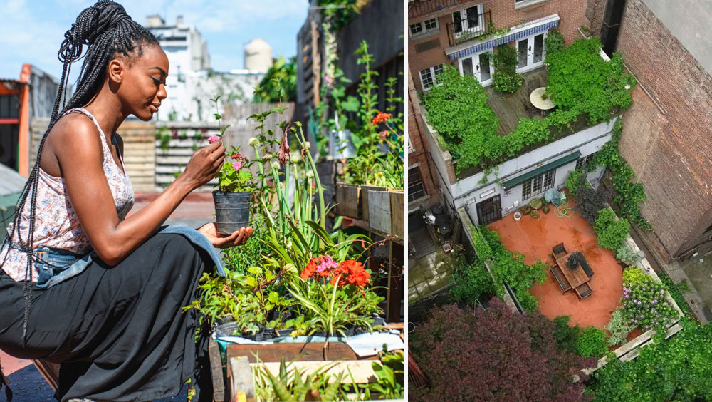 Tips for Thriving Rooftop Gardens