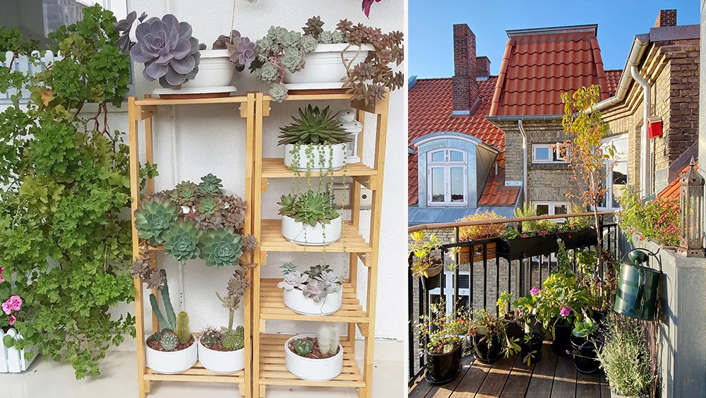 A Quick Guide to Starting an Apartment Garden 2