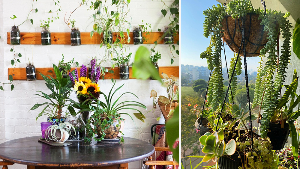 A Quick Guide to Starting an Apartment Garden 5