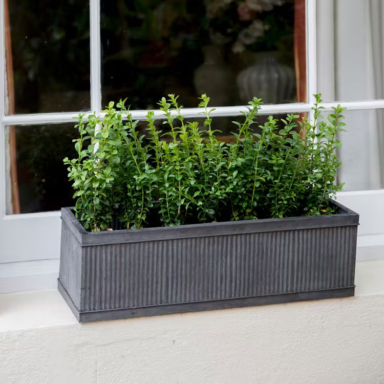 Ideas and Inspiration for Your Window Box Garden Keep It Simple