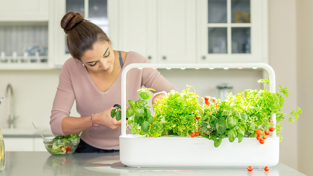 The Best Indoor Gardening Kits for Condo Living 2
