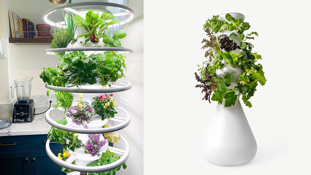 The Best Indoor Gardening Kits for Condo Living 3