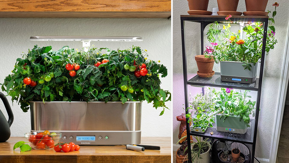 The Best Indoor Gardening Kits for Condo Living 4