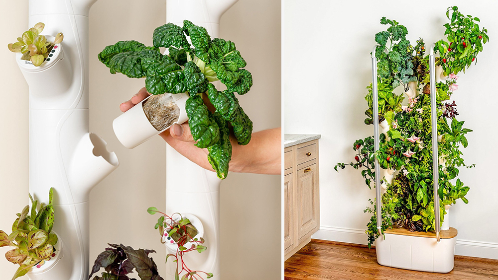 The Best Indoor Gardening Kits for Condo Living 5