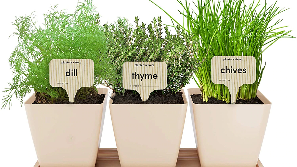 The Best Indoor Gardening Kits for Condo Living 6