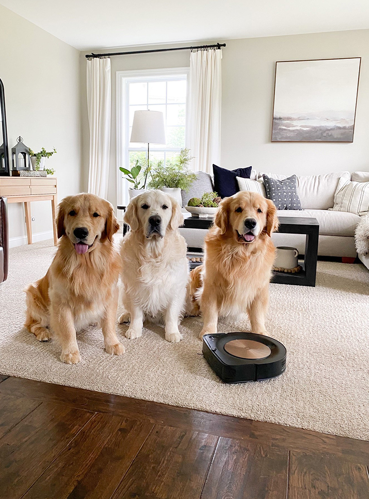 The Dirty Truth Are Robot Vacuums Worth It 6