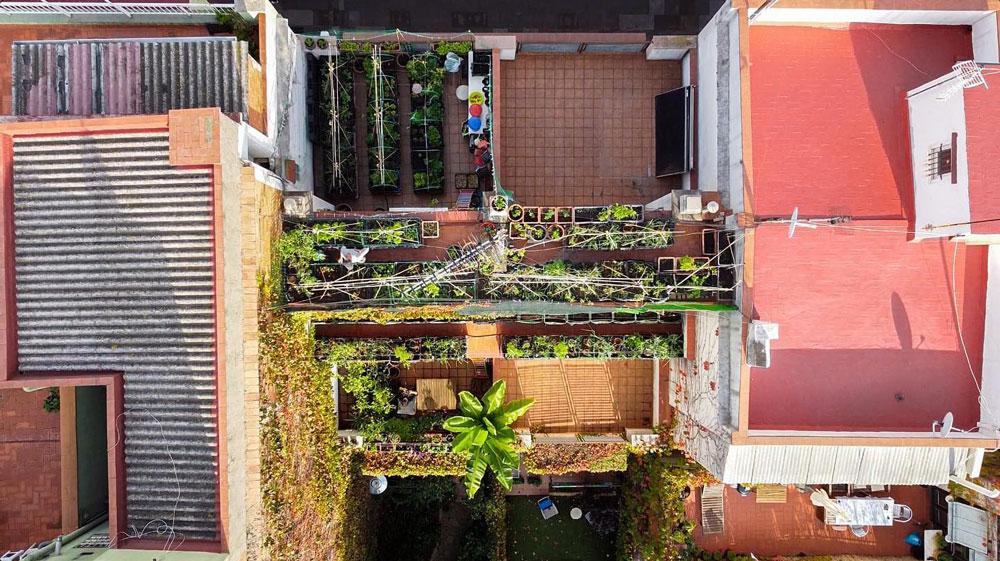Tips for Thriving Rooftop Gardens Check Accessibility