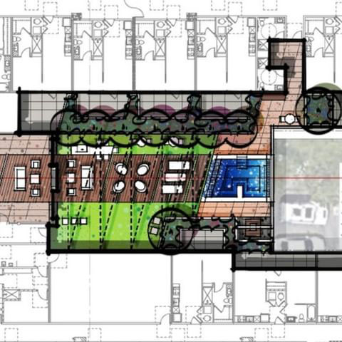 Tips for Thriving Rooftop Gardens Plan It Out
