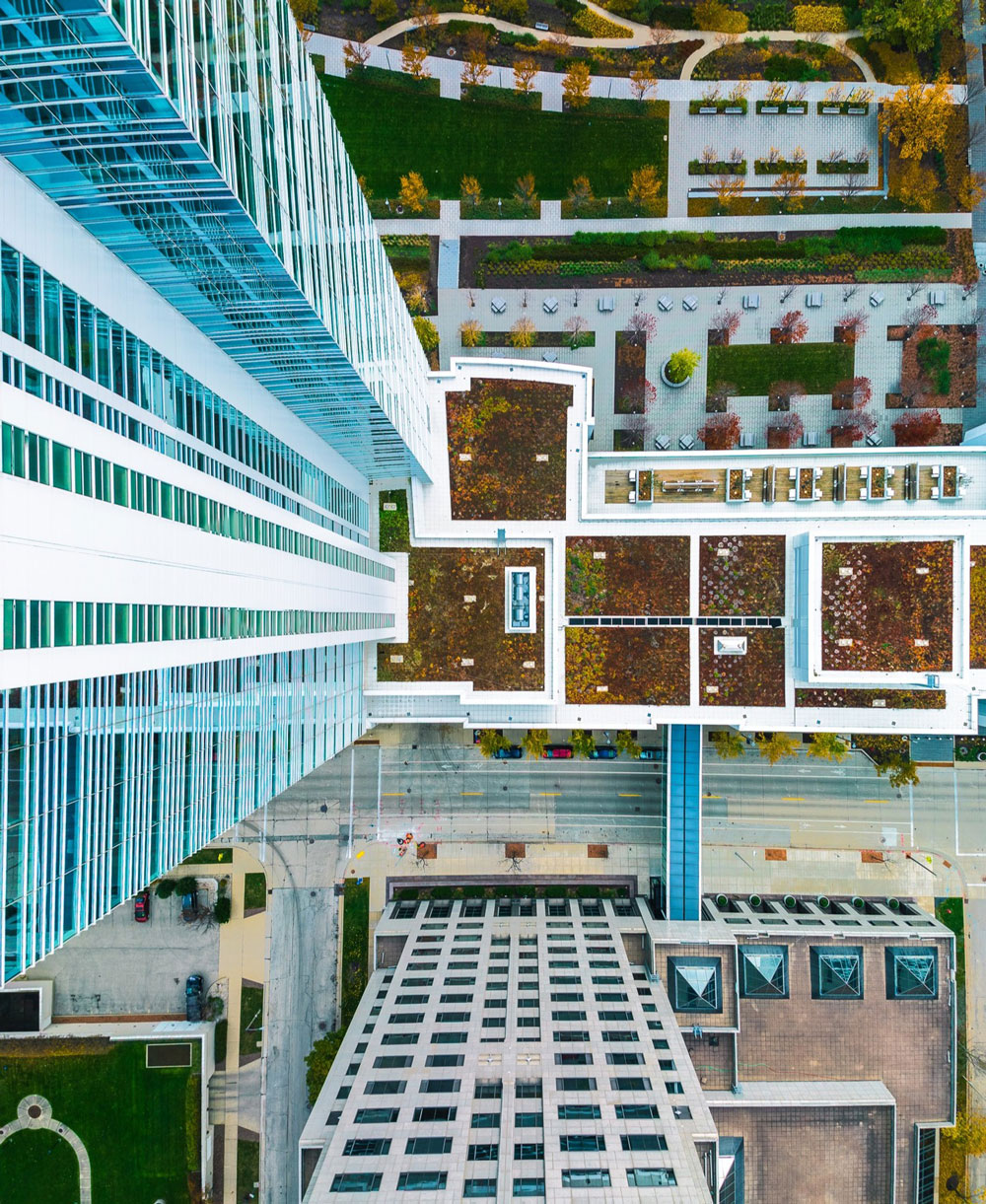Tips for Thriving Rooftop Gardens Structural Considerations