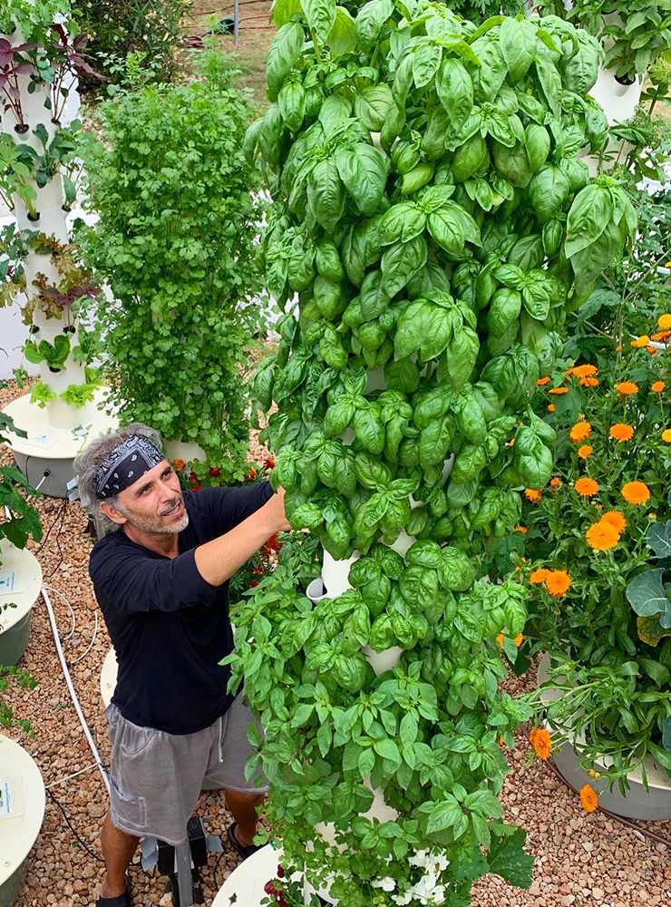 Top 5 Things To Plant In Your Backyard 3