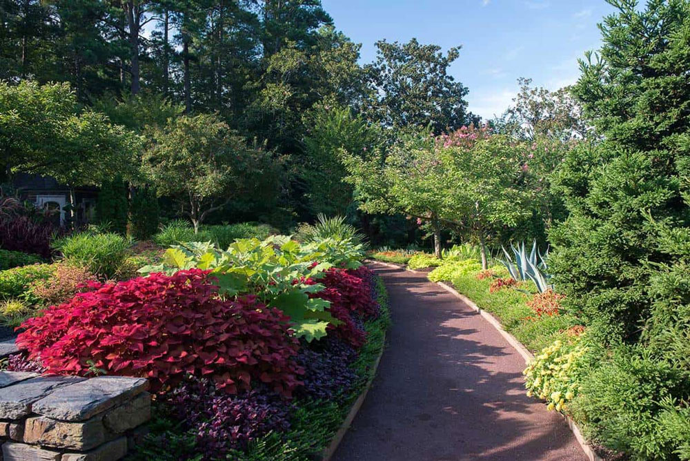 Wood Lined Garden Path