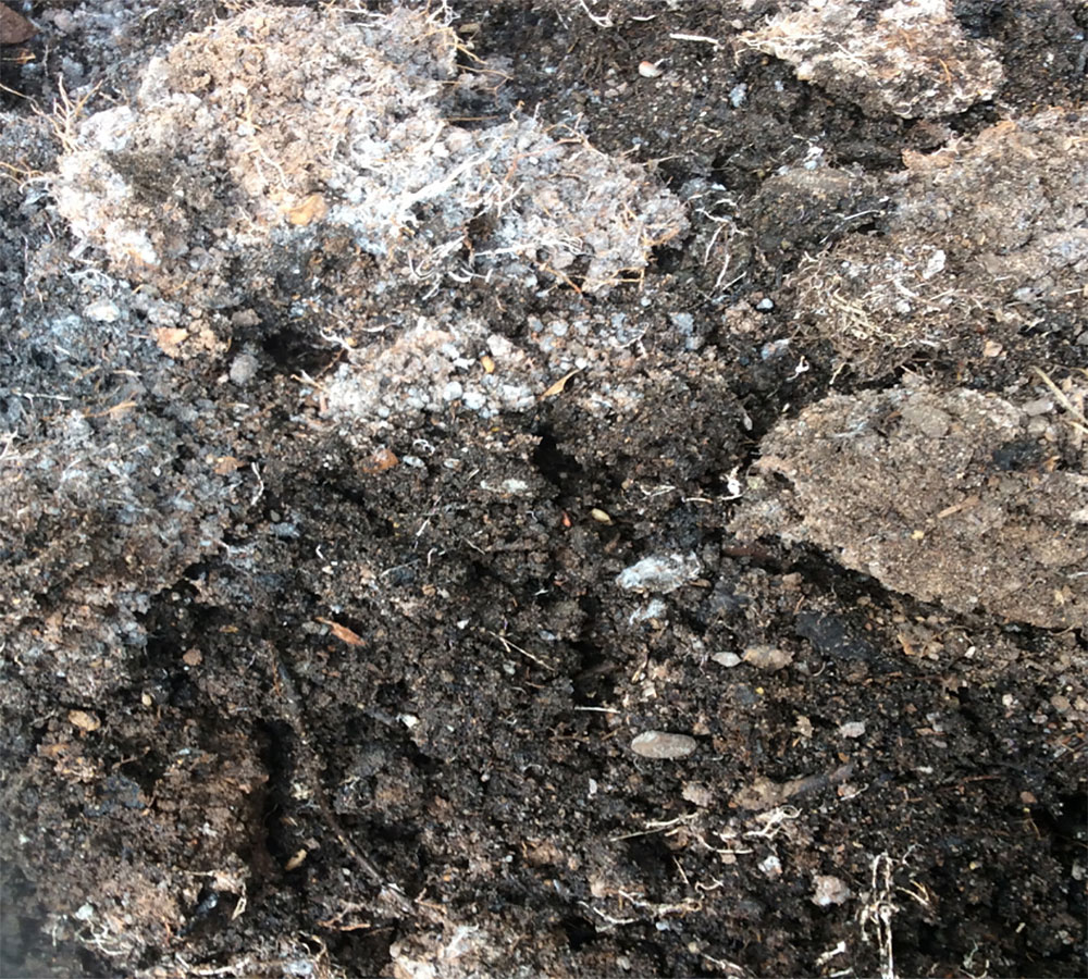 soil gone bad