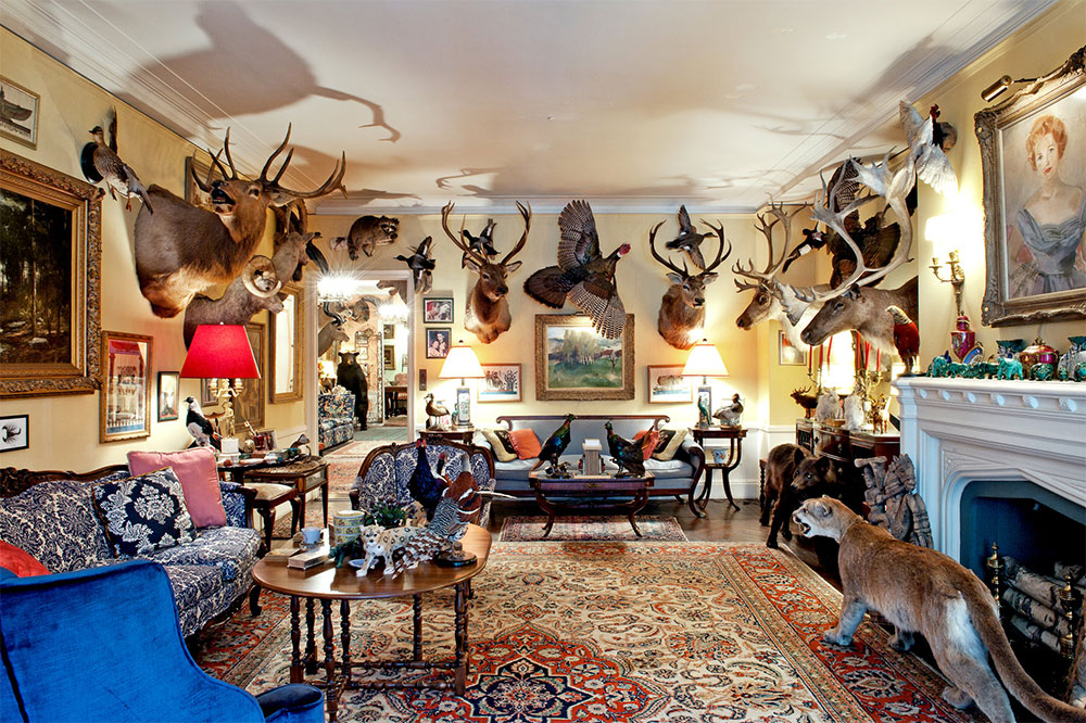 taxidermy
