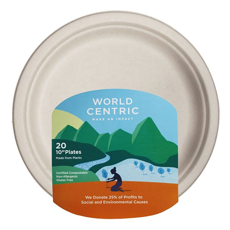 world centric