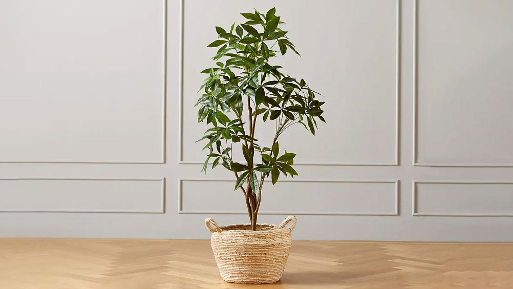 The Benefits of Artificial Plants