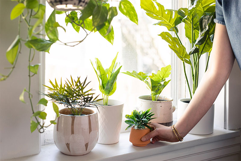What Are Artificial Plants Made Of