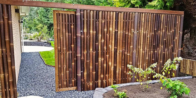 bamboo