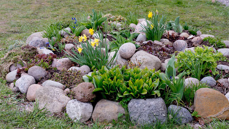 Plant Greenery And Flowers