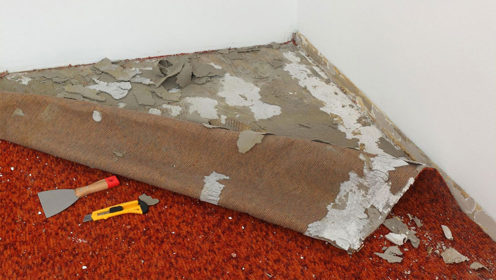 Purchasing Carpet? Avoid These Common Mistakes