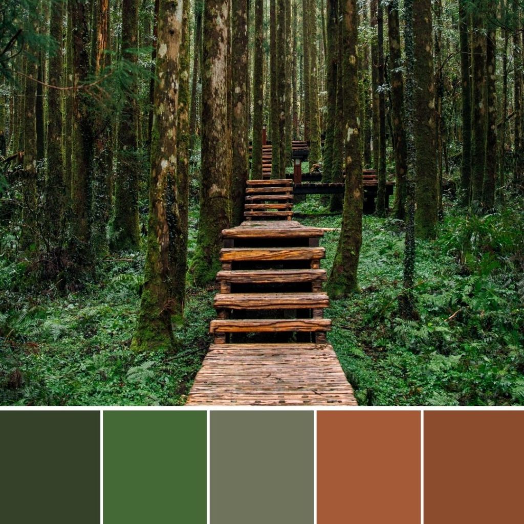 How to Develop a Rustic Color Palette