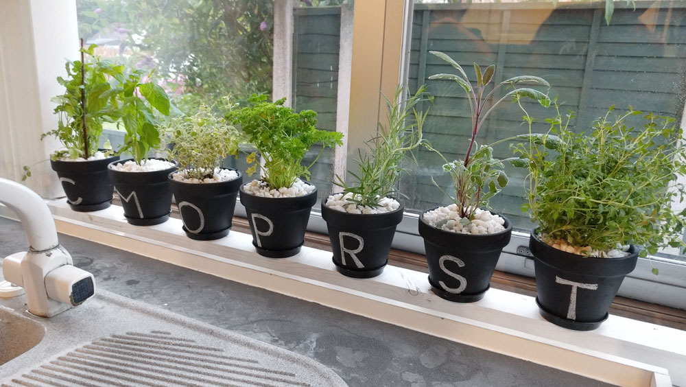 Fresh Flavors at Your Fingertips: Creating a Kitchen Herb Garden