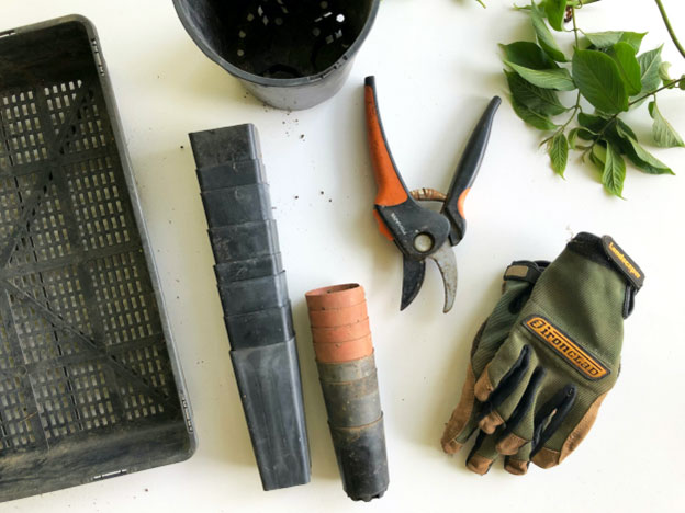 DIY landscaping can offer significant cost