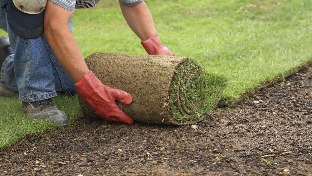 How Much Does Landscaping Cost?