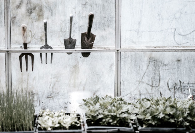 Smart Watering Systems