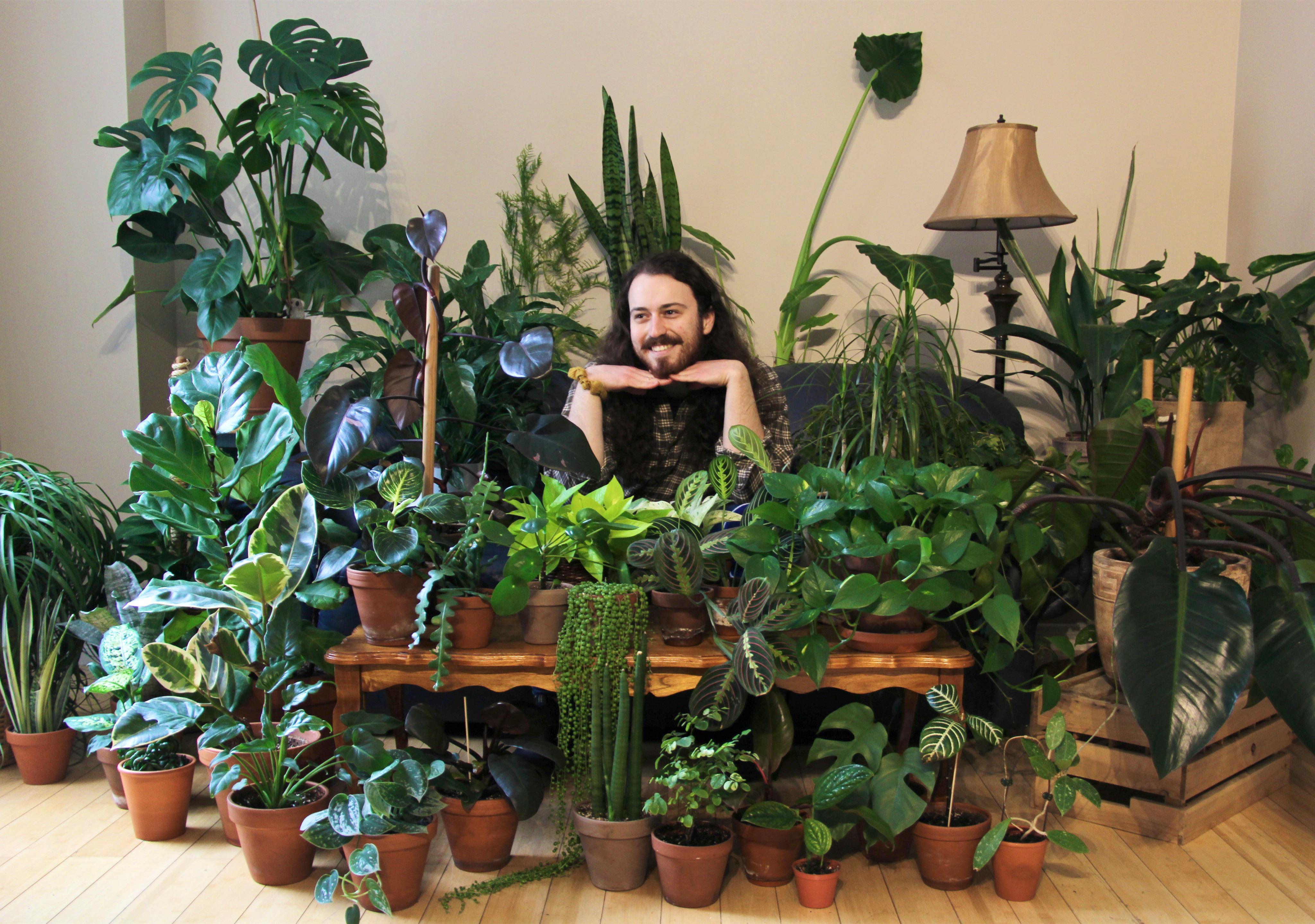 lots of plants