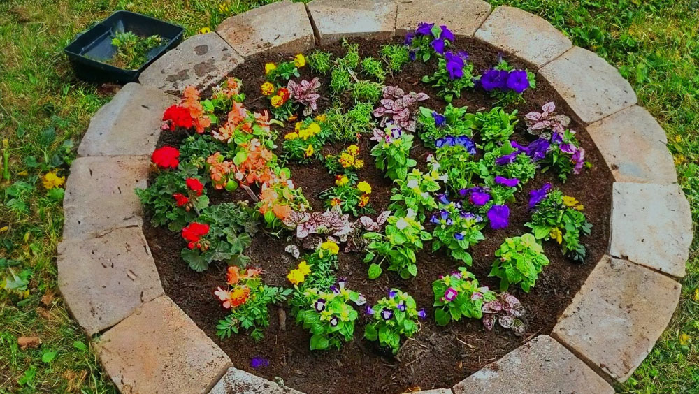 How To Start A Flower Garden
