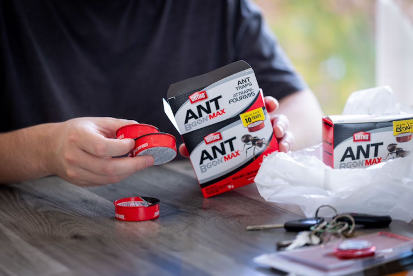 how to get rid of ants in the bathroom_ab4c1222 4652 47c1 9ea8 0c8295d23f4c