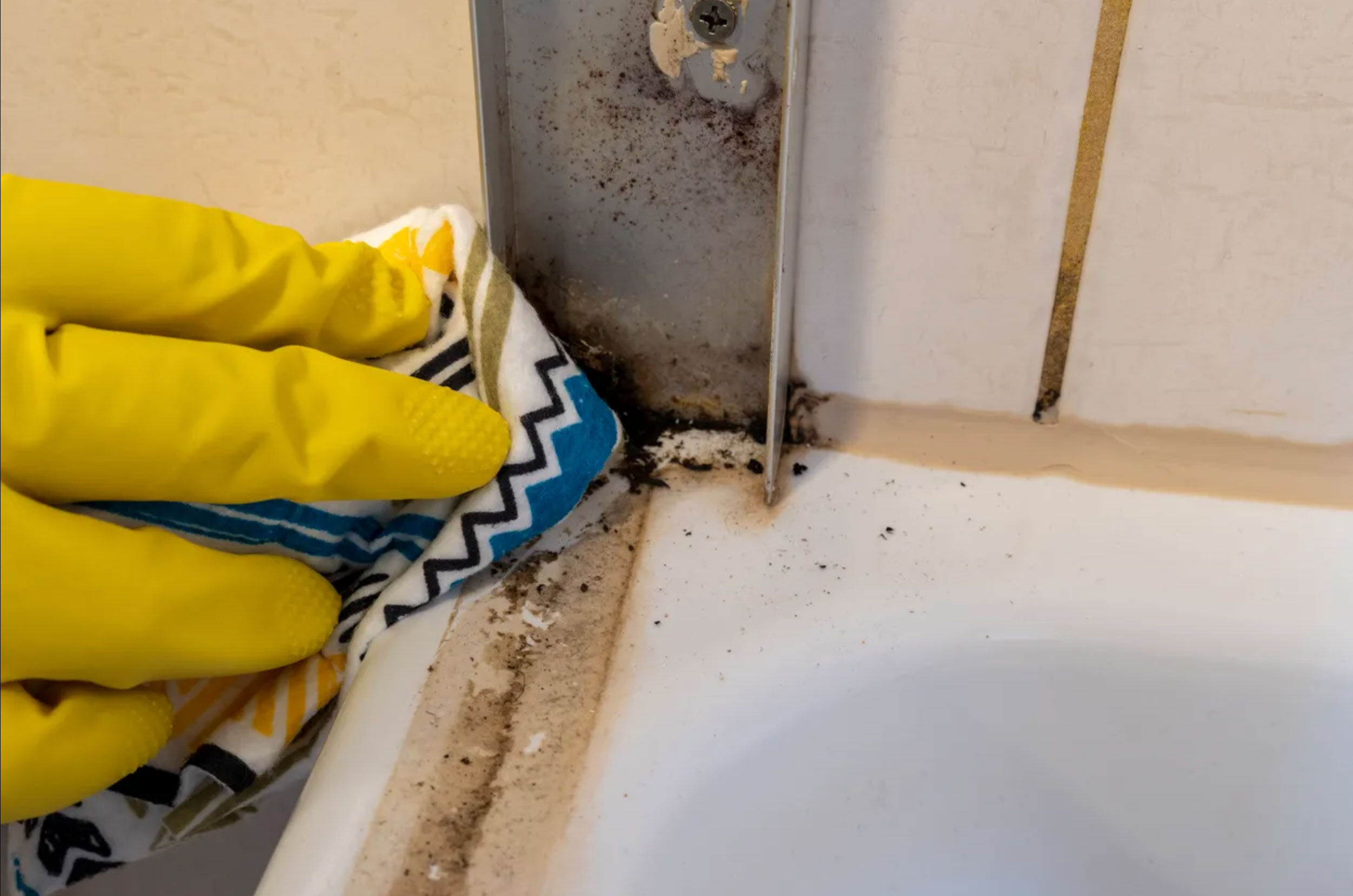 how to get rid of ants in the bathroom_de991442 721f 4e6e a105 5549edbc1da2