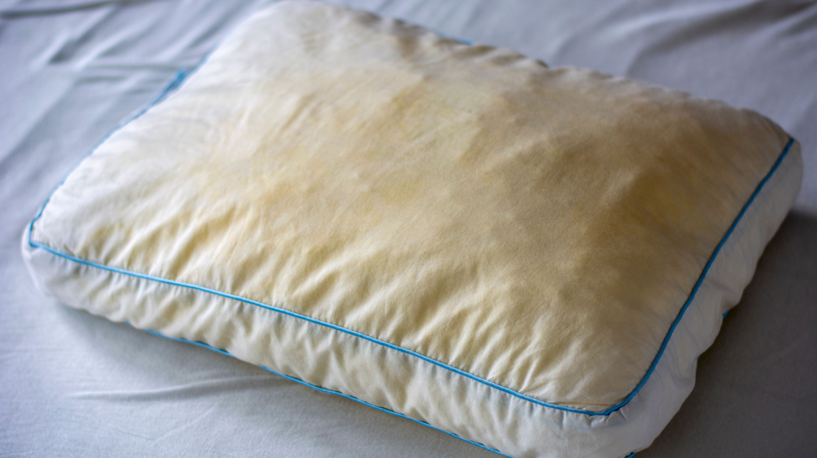 how to wash pillows_38fd46c1 22ee 400a b8f3 fa6dddbd372f