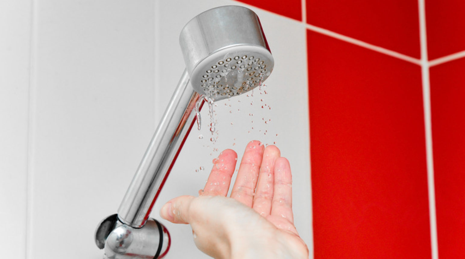 how to clean a shower head_37258913 1716 4451 a3e8 b86da7528629