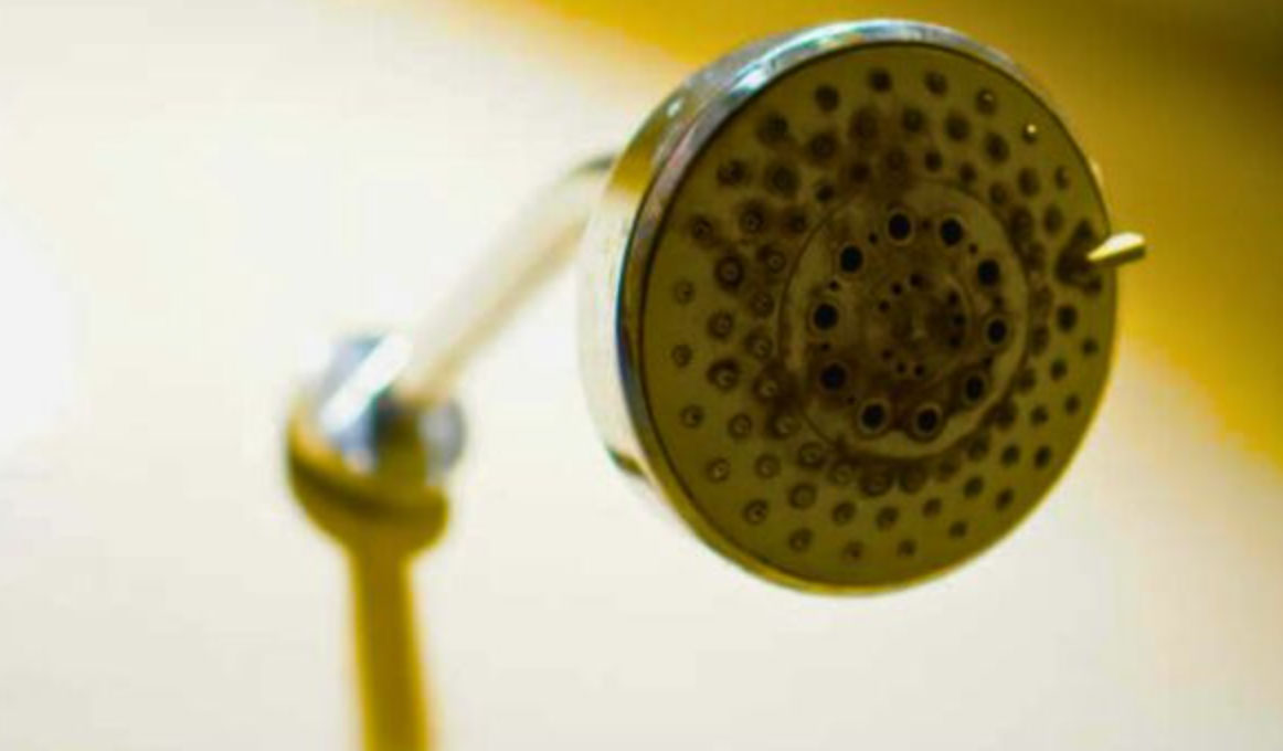 how to clean a shower head_90710b7f e0cf 4d36 9a28 a829bdec44b0