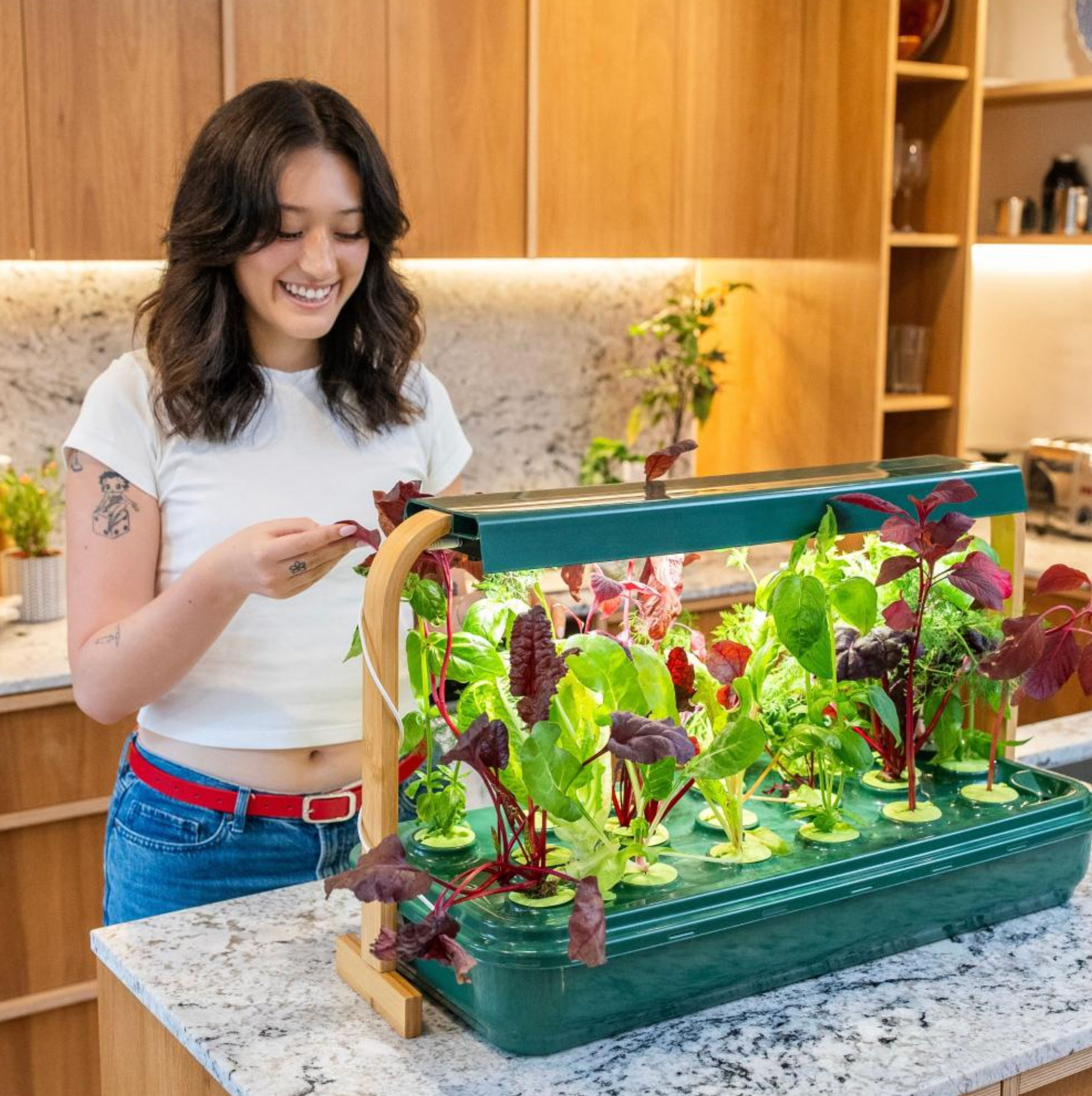 how to start a hydroponic garden_3650b89b e1e6 4271 b7bf d16f58f440df