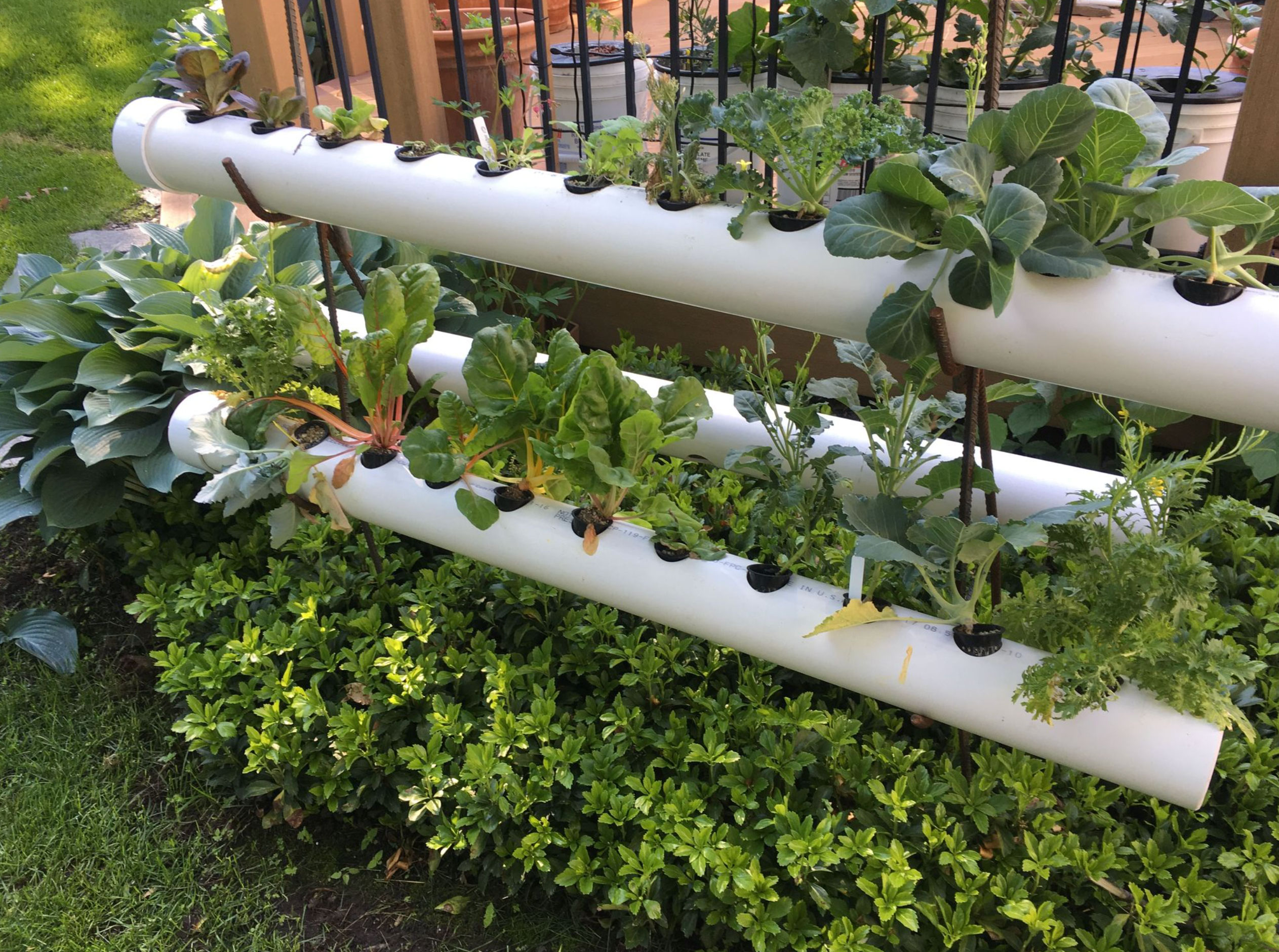 how to start a hydroponic garden_59c8abf4 3078 41a1 9c31 114f4cadaa96