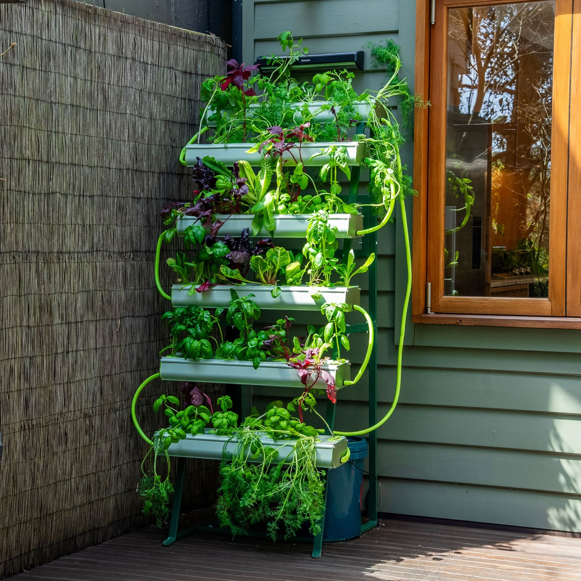 how to start a hydroponic garden_9f6827d9 7d88 463c 8239 b3754fbaff64