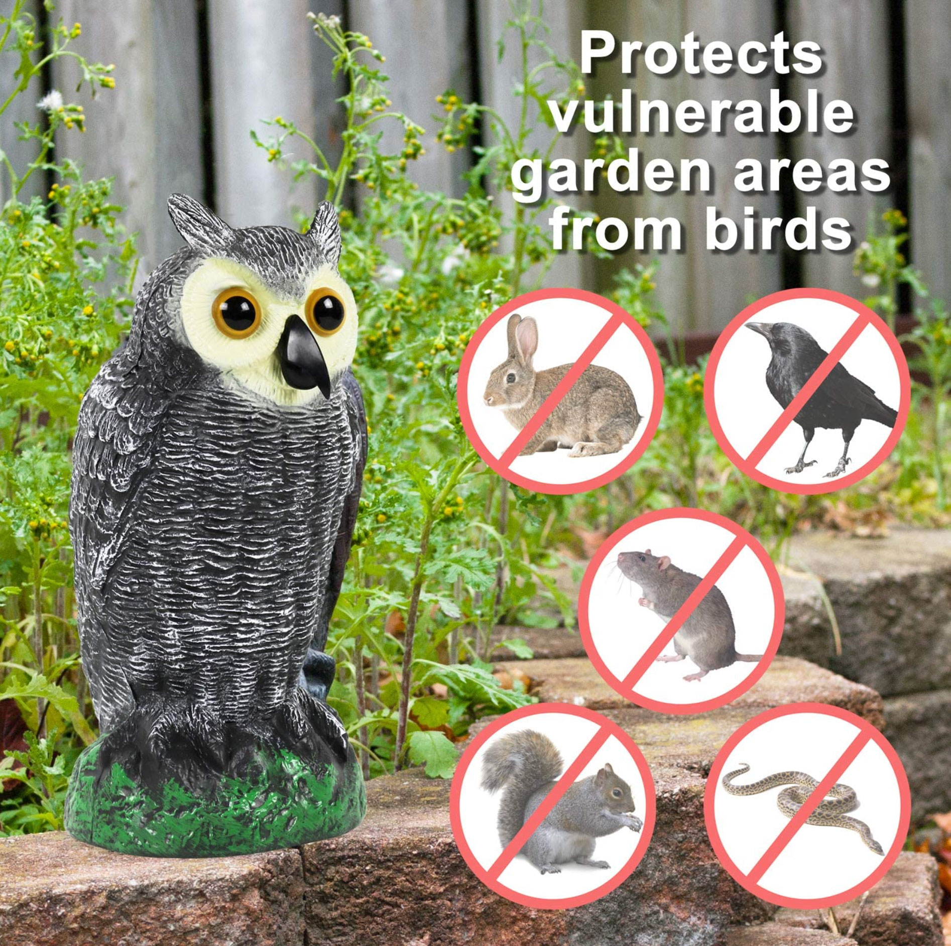 keep squirrels out of the garden_20a5cf5d 167c 4c65 a712 94eb8df13b04